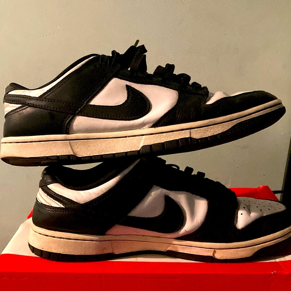 Nike dunks men 10